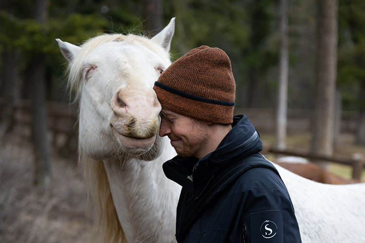 Meet Our Horses