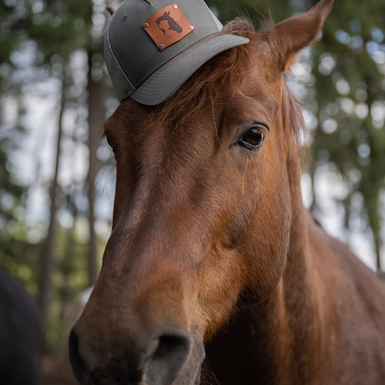 Two Bear Therapeutic Riding Center